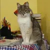 Отзыв от Анастасия Рыбакова